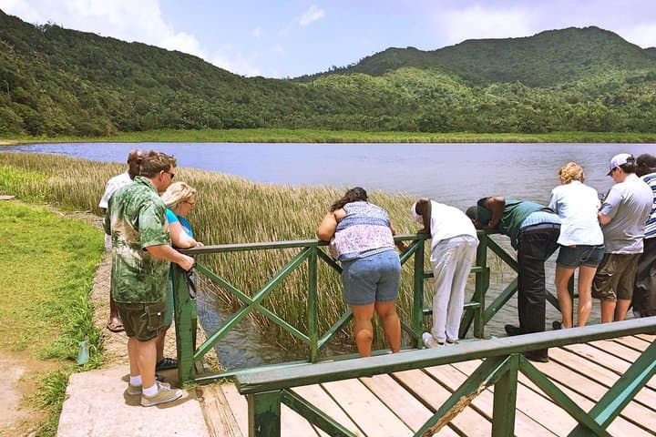 Grand Etang Small-Group Adventure Trek to the Seven Sisters Falls photo 4
