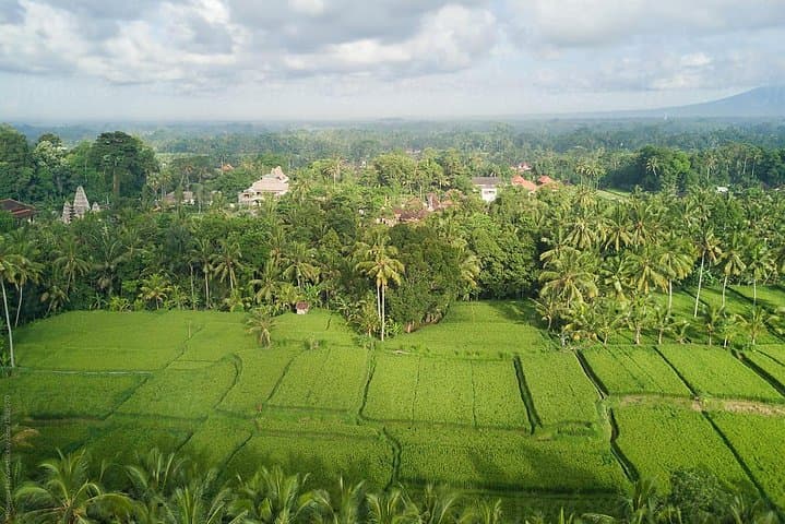 Ubud Village Cycling and 2-Hour Balinese Spa: 15km Countryside Ride & Traditional Massage photo 5
