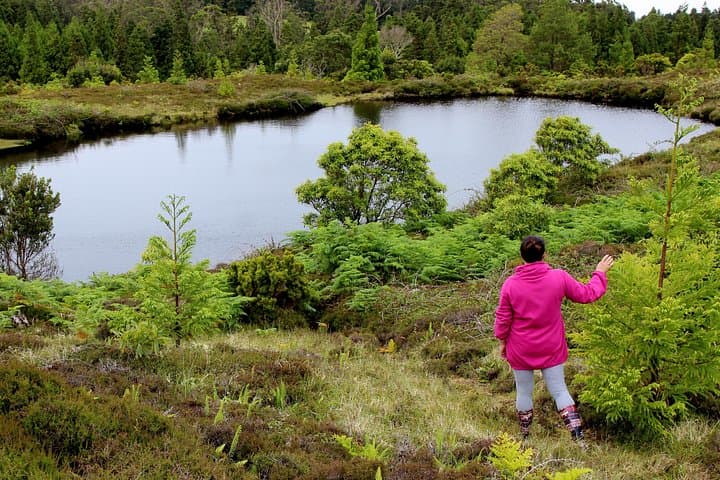 Full-Day Hiking XL on Terceira Island: Private Volcanic Trails & Coastal Cliffs photo 6