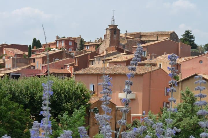Full-Day Provence Lavender Tour from Avignon: Sault, Gordes & Sénanque photo 3