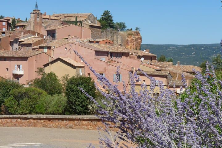 Full-Day Provence Lavender Tour from Avignon: Sault, Gordes & Sénanque photo 4