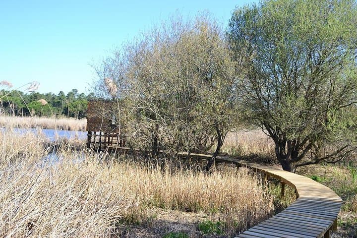 Bird Watching in Albufeira Lagoon — Guided Tour in Arrábida Natural Park photo 4