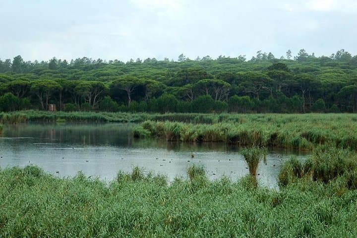 Bird Watching in Albufeira Lagoon — Guided Tour in Arrábida Natural Park photo 5