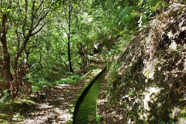 Madeira Levada dos Tornos Boaventura: Private Guided 13km Levada Hike photo 3