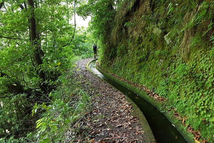 Madeira Levada dos Tornos Boaventura: Private Guided 13km Levada Hike photo 4