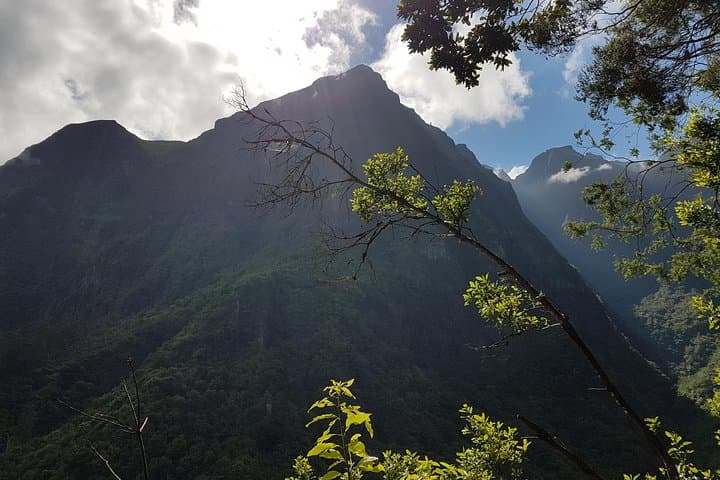 Madeira Levada dos Tornos Boaventura: Private Guided 13km Levada Hike photo 5