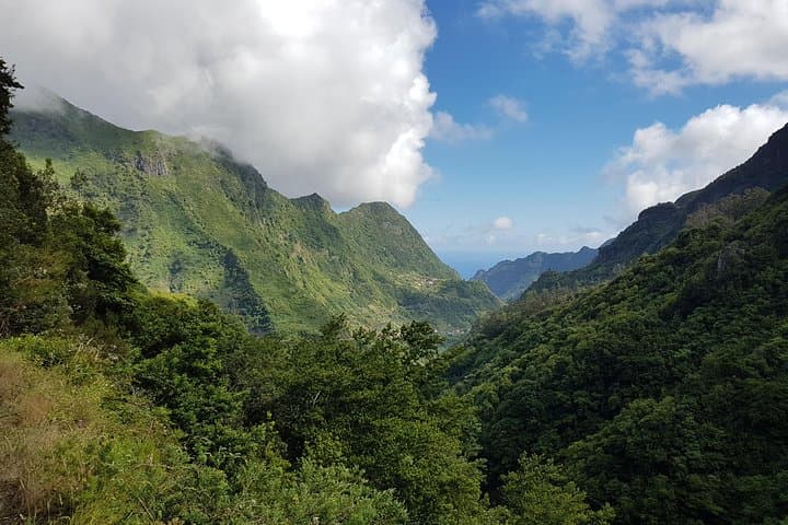 Madeira Levada dos Tornos Boaventura: Private Guided 13km Levada Hike photo 6
