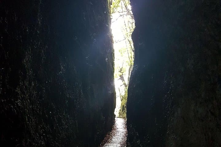 Santo da Serra to Ribeiro Frio Levada Walk — Full-Day Guided Hike on Madeira photo 3