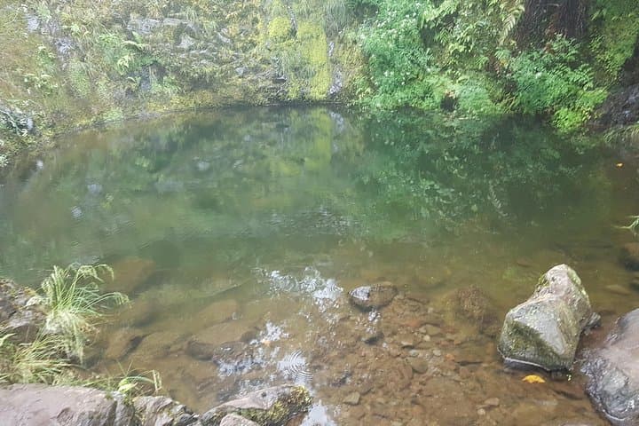 Ribeiro Frio to Portela Levada Walk — 10.7 km Guided Levada Hike in Madeira photo 6