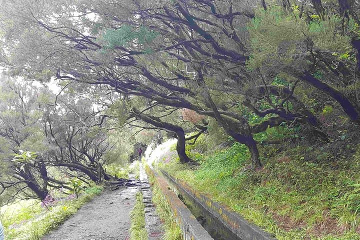Levada 25 Fontes Private Guided Walk — Rabaçal Hiking Tour, Madeira photo 4