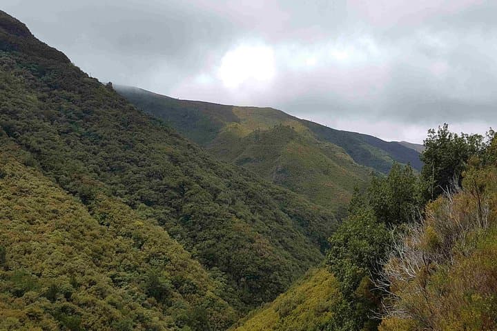 Levada 25 Fontes Private Guided Walk — Rabaçal Hiking Tour, Madeira photo 5