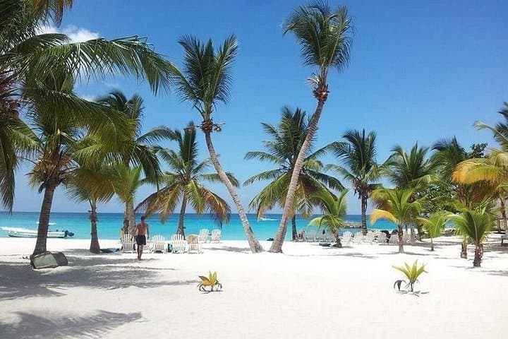 Saona Island Platinum Beach Day: Catamaran Cruise, Natural Pool & Open Bar from Punta Cana photo 3