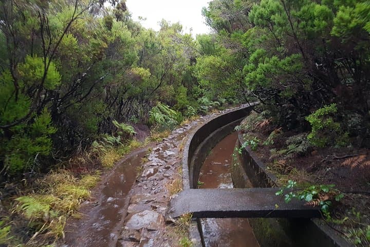 Levada Alecrim: Private Guided Walk to Lagoa Dona Beja and Waterfalls photo 2