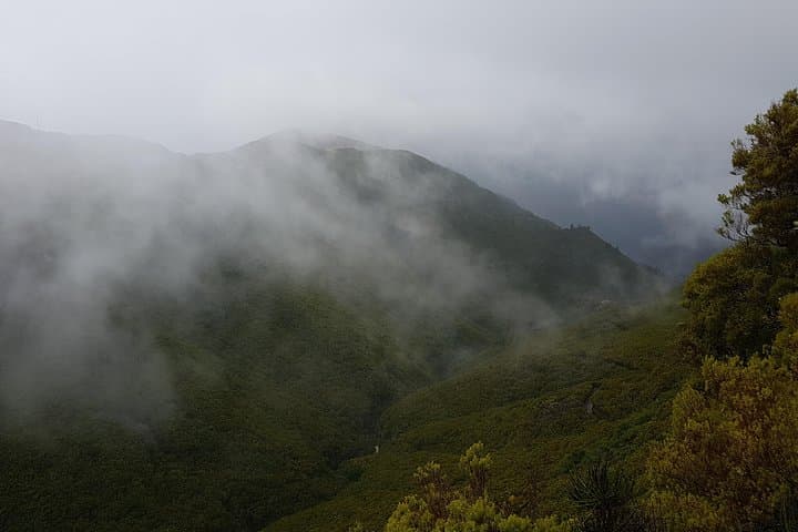Levada Alecrim: Private Guided Walk to Lagoa Dona Beja and Waterfalls photo 3