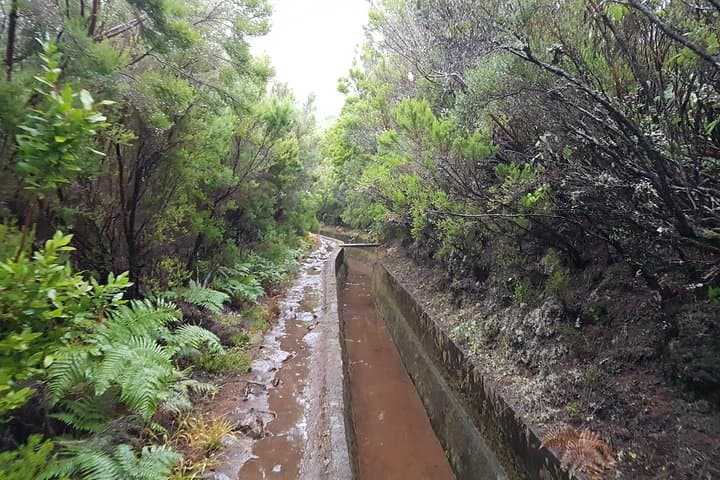 Levada Alecrim: Private Guided Walk to Lagoa Dona Beja and Waterfalls photo 4