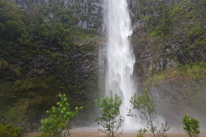 Levada Alecrim: Private Guided Walk to Lagoa Dona Beja and Waterfalls photo 5