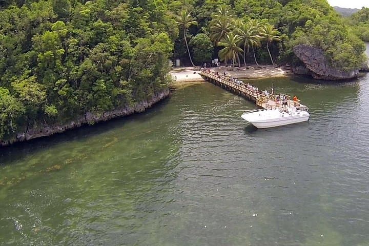 Los Haitises National Park Tour from Punta Cana — Mangroves, Caves & Local Lunch photo 3