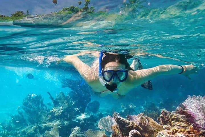 Explore Caribbean Waters with Platinum Power Shore Adventure photo 5