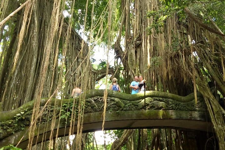 Ubud Day Tour: Sumampan Waterfall, Monkey Forest, Tegalalang Rice Terraces & Jungle Swing photo 3