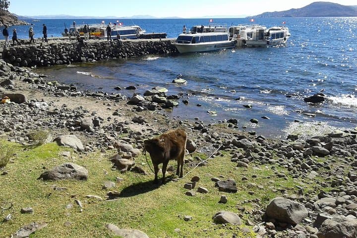 Day Trip to the Uros and Taquile Islands from Puno — Lake Titicaca Floating Islands & UNESCO Textiles photo 5