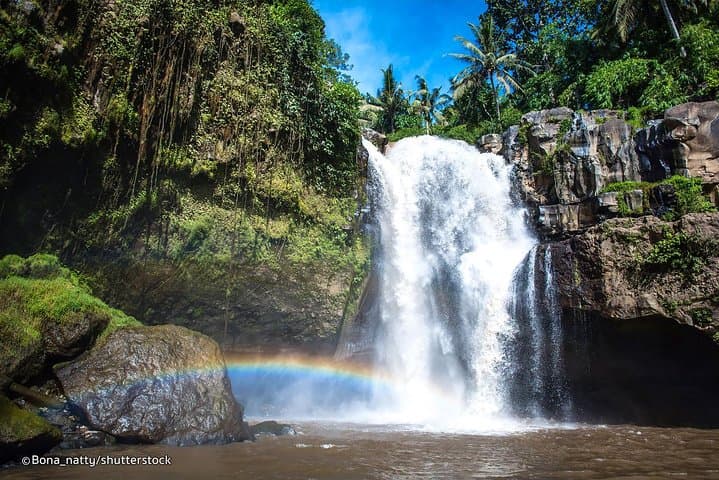 Cycling the Rice Fields of Ubud & Tegenungan Waterfall — Day Trip from Ubud photo 6