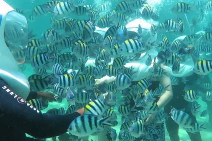 Bali Watersports: Jet Ski, Parasailing & Sea Walker Adventure at Tanjung Benoa photo 4