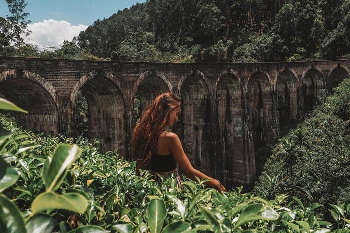 Horton Plains & Ohiya–Ella Scenic Train Day Trip from Ella photo 5