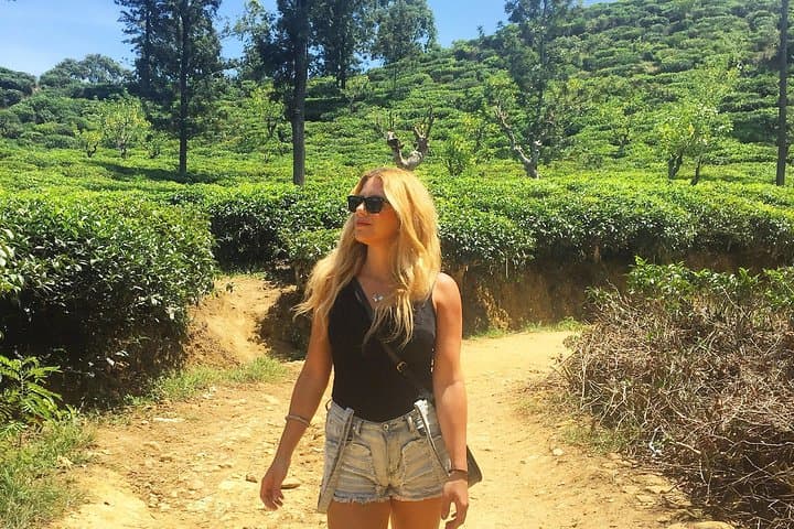 Horton Plains & Ohiya–Ella Scenic Train Day Trip from Ella photo 6