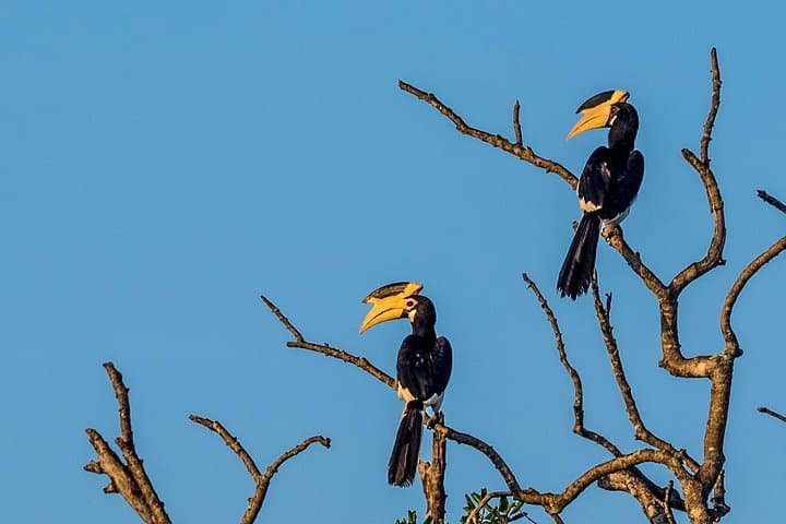 Wilpattu National Park Jeep Safari From Bentota — Day Trip to the Villus and Wildlife photo 2