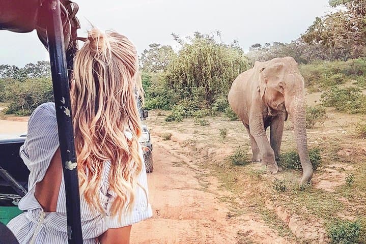 Udawalawe Safari from Mount Lavinia — Elephant-First Game Drive Guide