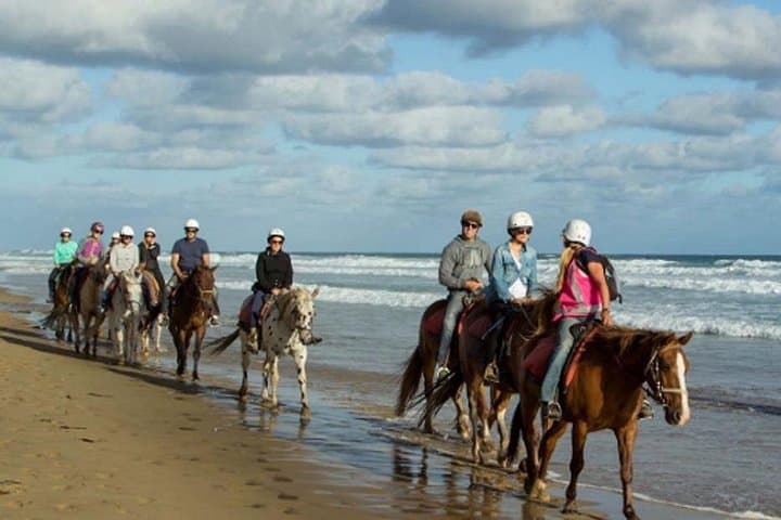 Black Sand Beach Horseback Ride and Ubud Day Tour — Beaches, Palace & Coffee photo 4