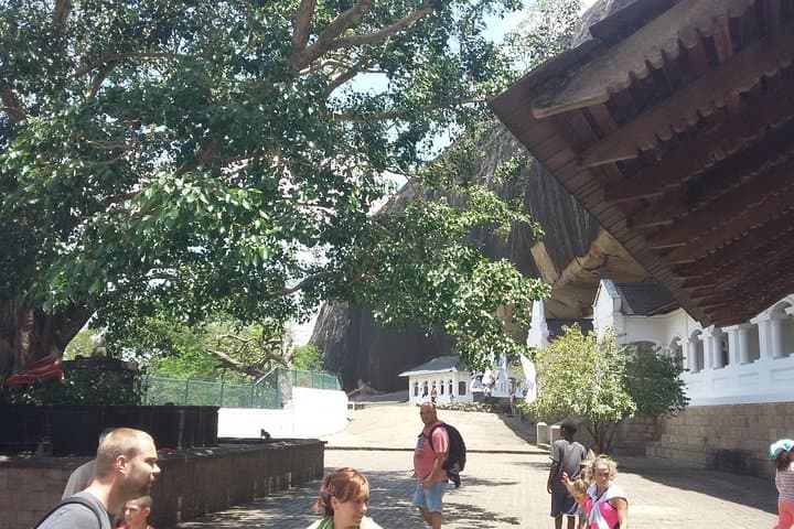 Climb Sigiriya Rock & Dambulla Cave Temple — One-Day Tour from Dambulla photo 5