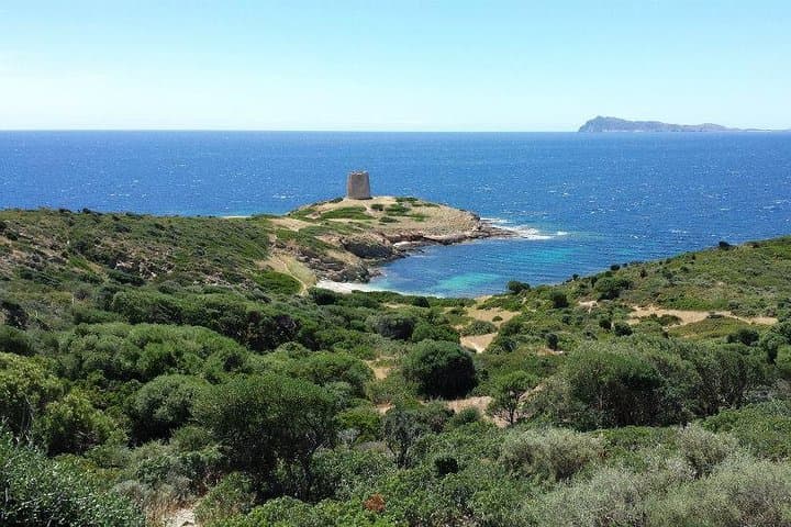 Jeep to Chia: Private Shore Excursion to Sardinia's Hidden Beaches photo 6