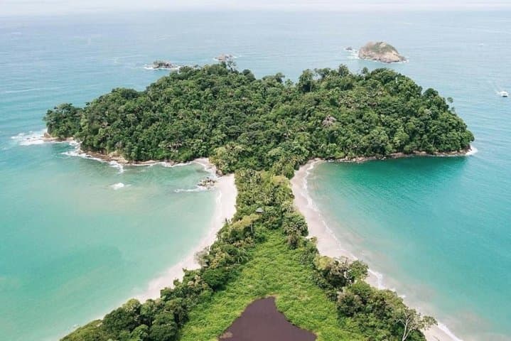 Day Trip to Manuel Antonio National Park from San José — Beaches, Rainforest Trails & Wildlife photo 6