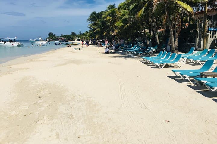 Roatan Super Man Zip Line: Canopy Flight, Wildlife Sanctuary & Rum Tasting photo 3