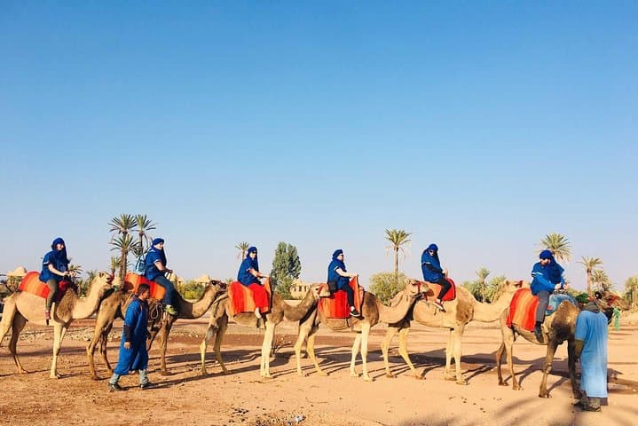 Half-Day Camel Ride in Marrakech Palmeraie — Palm Groves, Berber Tea & Easy Trek photo 3