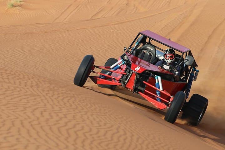 Drive Dubai's Red Dunes: 1000cc Buggy Ride with Camel & Falcon Photo photo 3