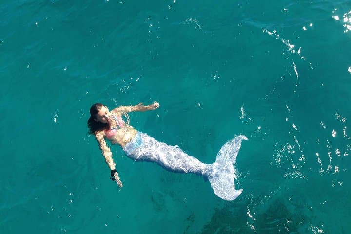 Half-Day Sail and Snorkel to Buck Island: Swim With Green Sea Turtles photo 5