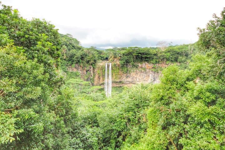 Swim with Wild Dolphins and Explore Mauritius Volcanic Wonders — Full-Day West Coast Tour photo 4
