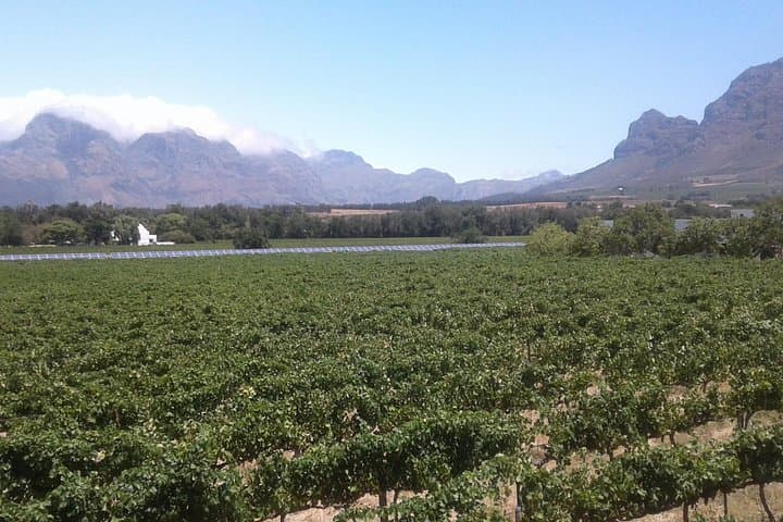 Private Winelands Tour: Stellenbosch, Franschhoek & Paarl Day Trip from Cape Town photo 3