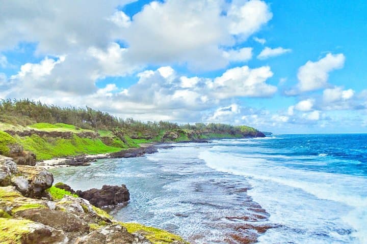 Mauritius Nature Discovery Tour: Swim with Wild Dolphins & Visit La Vanille photo 3