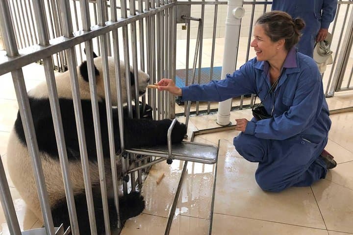 Panda Keeper Program at Dujiangyan: Private Day Volunteer from Chengdu photo 2
