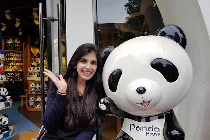 Up-Close Panda Day Tour in Chengdu — Panda Base, Panda Post & Giant Sculpture photo 3
