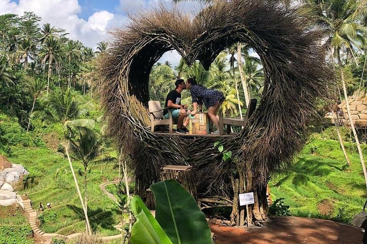Ubud to Kintamani Batur Volcano Private Tour: Monkey Forest, Rice Terraces & Tirta Empul photo 5