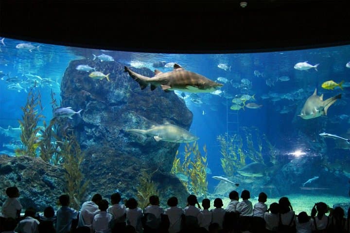 SEA LIFE & Madame Tussauds Bangkok: Ultimate Combo Ticket Guide photo 3