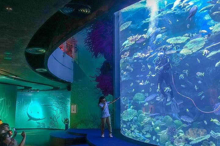 Sea Life Bangkok Aquarium Admission with Private Transfer