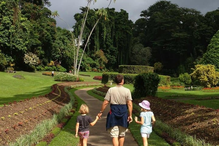 Private Kandy Day Tour from Colombo: Temple, Gardens & Cultural Highlights photo 3