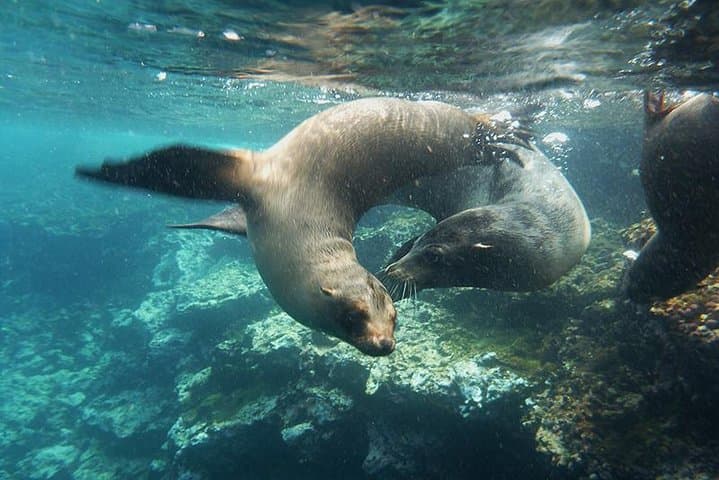 Full-Day Santa Fe & Playa Escondida Snorkeling Tour from Puerto Ayora photo 2