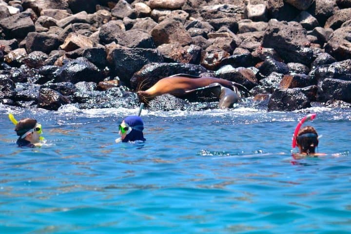 Full-Day Santa Fe & Playa Escondida Snorkeling Tour from Puerto Ayora photo 3