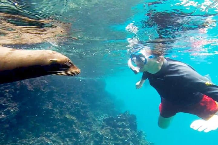 Full-Day Santa Fe & Playa Escondida Snorkeling Tour from Puerto Ayora photo 1